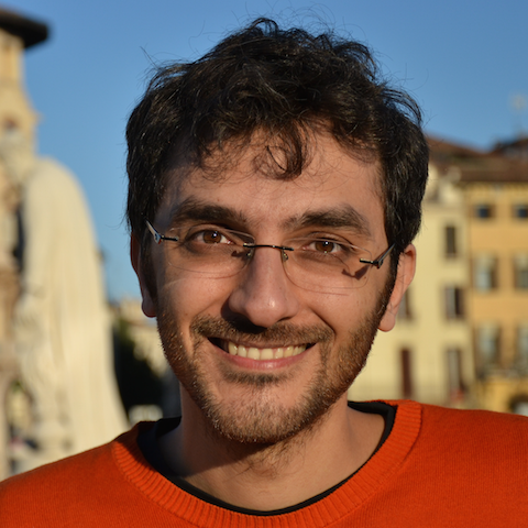 Portrait of Prof. Giuseppe Vallone